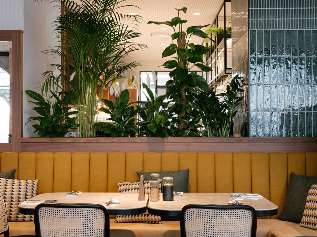 plants integrated into the restaurant interior design of feinkosterei an austrian tapas place by archisphere in vienna photo copyright christof wagner